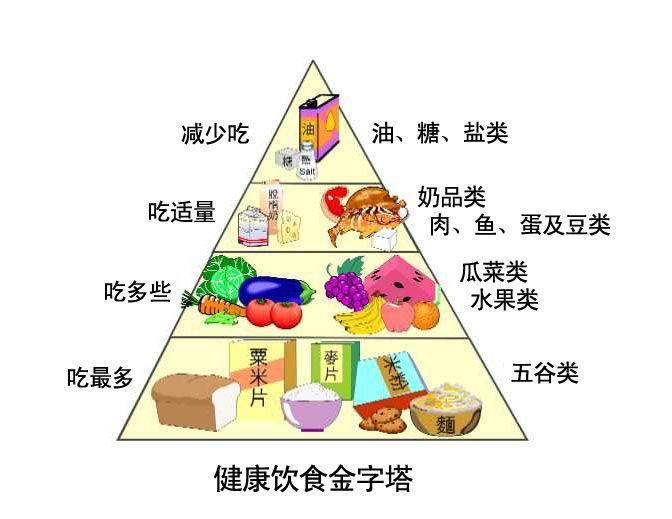 医用樱桃视频在线播放的原理与结构