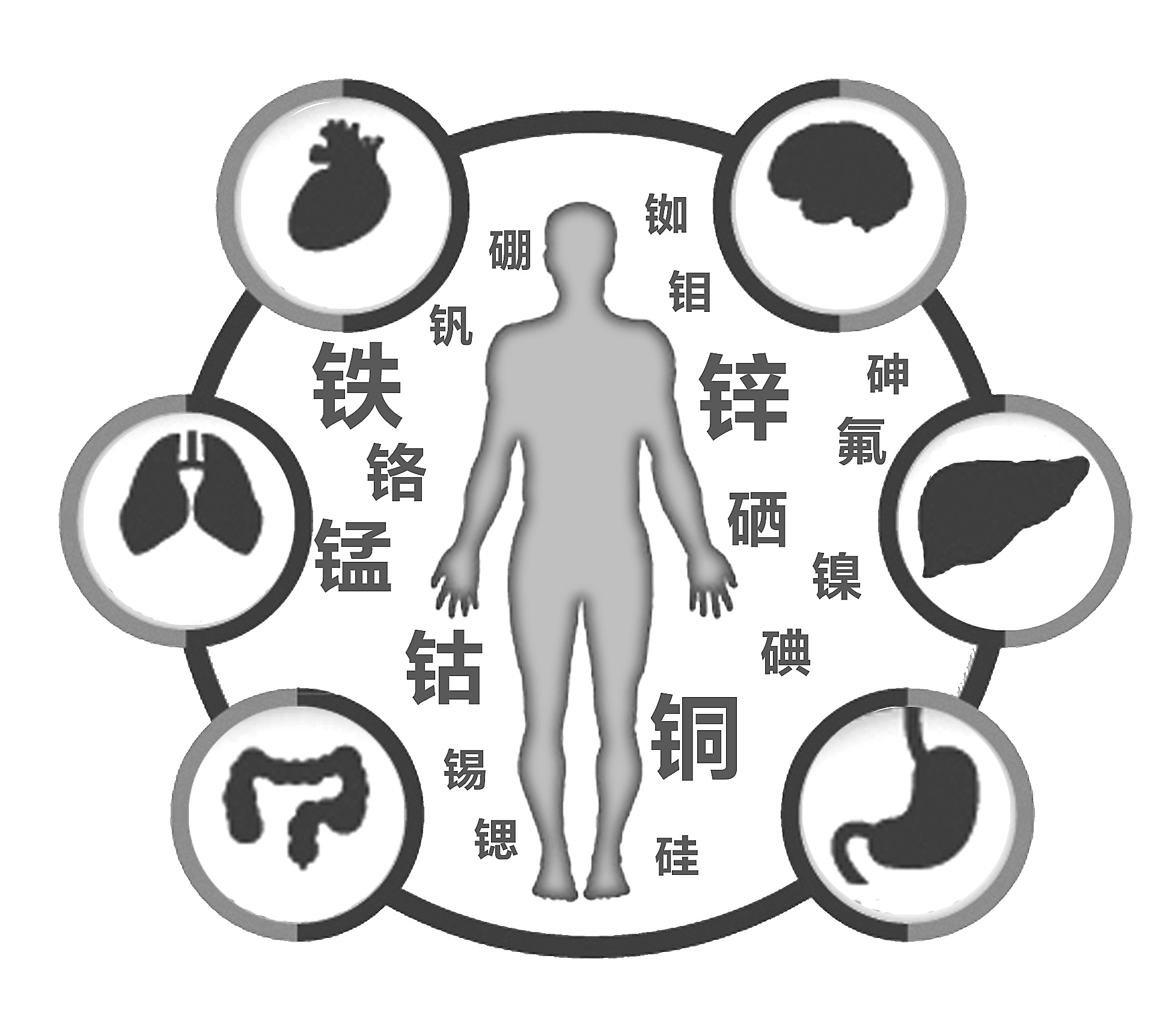 樱桃视频在线播放检查有必要吗 樱桃视频在线播放检查有必要吗