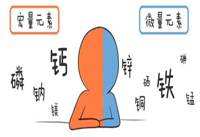 全自动樱桃视频在线播放介绍缺少微量元素的危害 全自动樱桃视频在线播放介绍缺少微量元素的危害