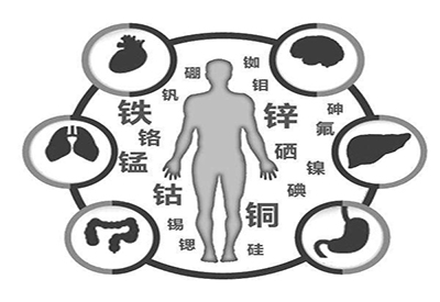 全自动樱桃视频色版APP下载厂家微量元素在人体中起到哪些作用 全自动樱桃视频色版APP下载厂家微量元素在人体中起到哪些作用