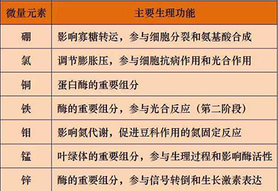 全自动樱桃视频色版APP下载厂家微量元素的对人体的生理作用 全自动樱桃视频色版APP下载厂家微量元素的对人体的生理作用