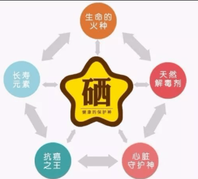 素分析仪,医用樱桃视频在线播放,人体微
